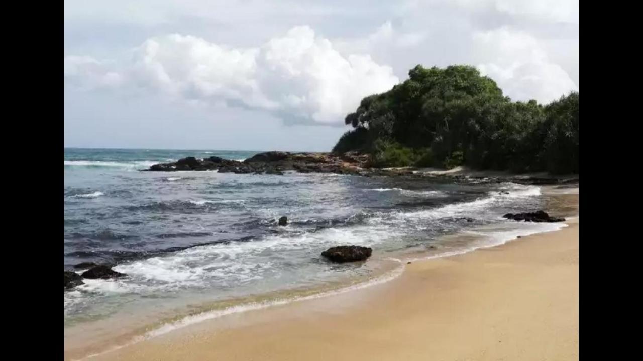 Turtles View Resort Tangalle Eksteriør bilde